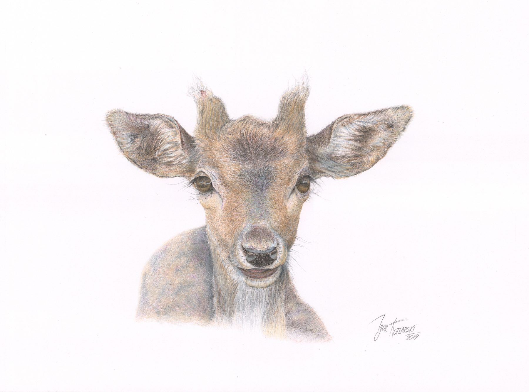 Drawing from observation